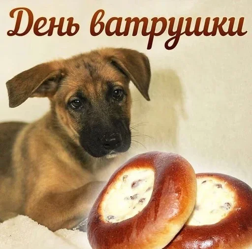 🥰 Стикер «Поздравляю с Днём» для Telegram