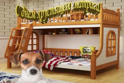🤪 Стикер «Поздравляю с Днём» для Telegram
