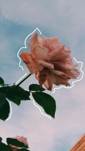 😙 Стикер «Festive» для Telegram