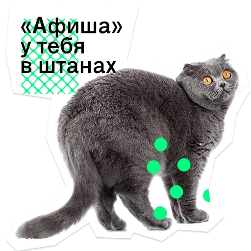 Стикерпак Pose для Telegram