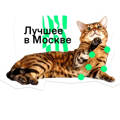 😲 Стикер «Pose» для Telegram