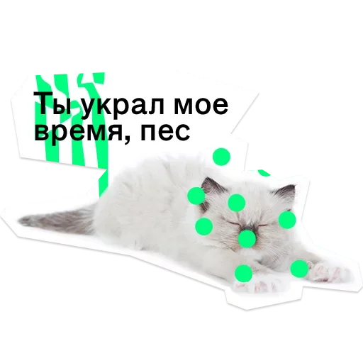 😡 Стикер «Pose» для Telegram