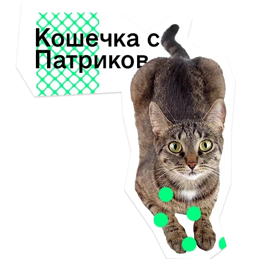 😧 Стикер «Pose» для Telegram