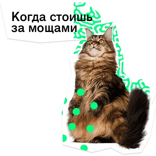 😧 Стикер «Pose» для Telegram