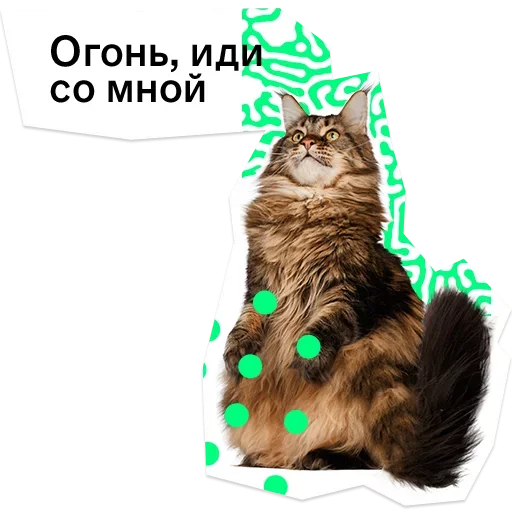 😡 Стикер «Pose» для Telegram