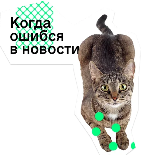 😠 Стикер «Pose» для Telegram