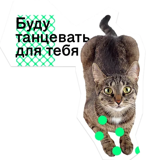 😧 Стикер «Pose» для Telegram