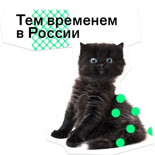 😡 Стикер «Pose» для Telegram