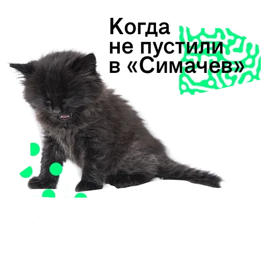 😮 Стикер «Pose» для Telegram