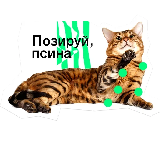 😰 Стикер «Pose» для Telegram