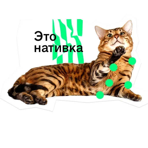 😮 Стикер «Pose» для Telegram