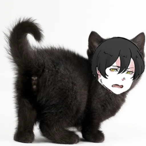 😾 Стикер «Майк Мортон» для Telegram