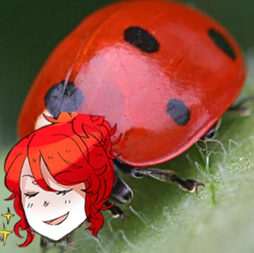 🐞 Стикер «Майк Мортон» для Telegram
