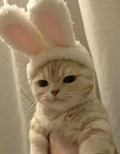 💒 Стикер «pqpqppqpqpqpqpqp» для Telegram