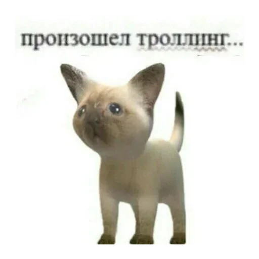 💒 Стикер «pqpqppqpqpqpqpqp» для Telegram