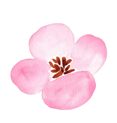 🌸 Стикер «warmth» для Telegram