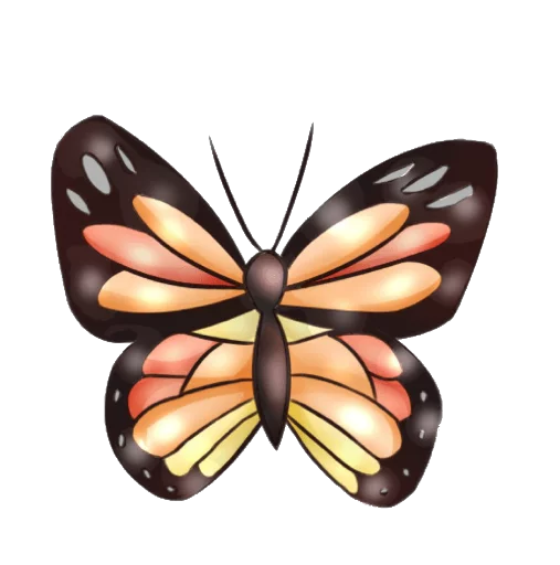 🦋 Стикер «warmth» для Telegram