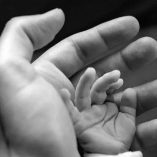 Стикерпак Pregnancy для Telegram — скачать