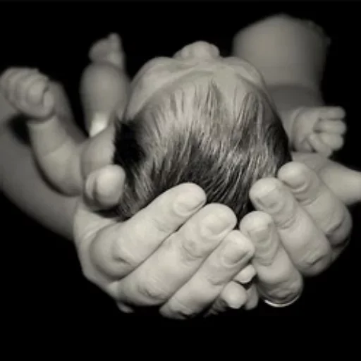 🤐 Стикер «Pregnancy» для Telegram