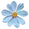 Стикер 18 Prelestno