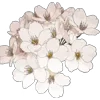 Стикер 20 Pretty Bows