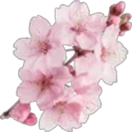 🌟 Эмодзи «prem d 78c 8» для Telegram
