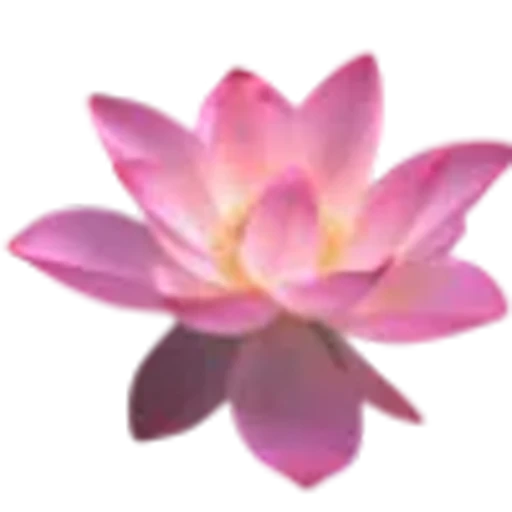 🪷 Эмодзи «prem d 78c 8» для Telegram