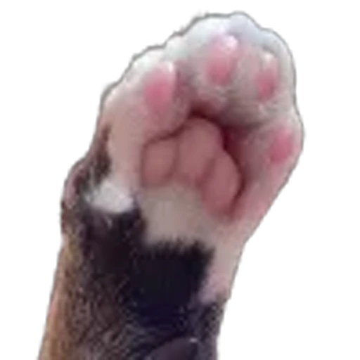 🫥 Эмодзи «prem d 78c 8» для Telegram