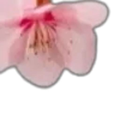🌟 Эмодзи «prem d 78c 8» для Telegram