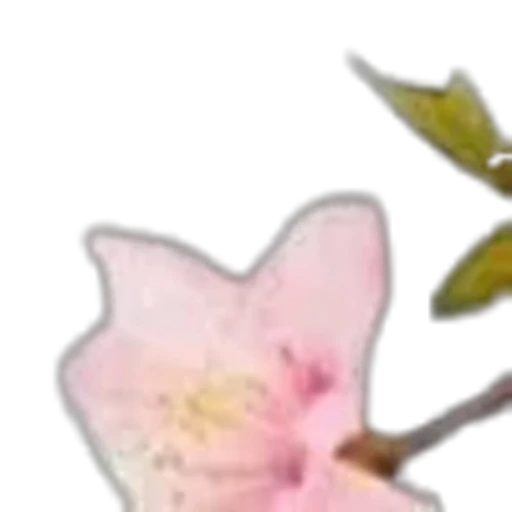 🌟 Эмодзи «prem d 78c 8» для Telegram