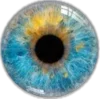 Стикер 25 👁 глаза