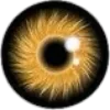 Стикер 19 👁 глаза