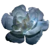 Стикер 26 Geimvera Ilmur