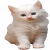 Стикер 58 mlg