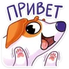 Стикерпак Песик Берт для Telegram