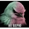 🤩 Эмодзи «Birds Memes» для Telegram