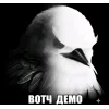 🤩 Эмодзи «Birds Memes» для Telegram