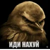 🤩 Эмодзи «Birds Memes» для Telegram