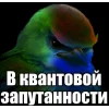 🤩 Эмодзи «Birds Memes» для Telegram