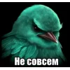 🤩 Эмодзи «Birds Memes» для Telegram