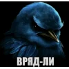 🤩 Эмодзи «Birds Memes» для Telegram