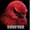 🤩 Эмодзи «Birds Memes» для Telegram