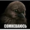 🤩 Эмодзи «Birds Memes» для Telegram