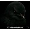 🤩 Эмодзи «Birds Memes» для Telegram