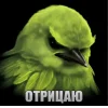 🤩 Эмодзи «Birds Memes» для Telegram