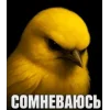 🤩 Эмодзи «Birds Memes» для Telegram