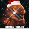 🤩 Эмодзи «Birds Memes» для Telegram
