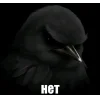 🤩 Эмодзи «Birds Memes» для Telegram