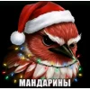 🤩 Эмодзи «Birds Memes» для Telegram