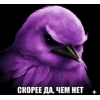🤩 Эмодзи «Birds Memes» для Telegram